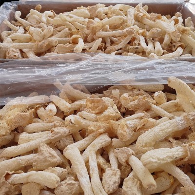 食用菌批发不带裙干货竹荪 不熏硫未开伞竹笙菇蕾500g鲜嫩