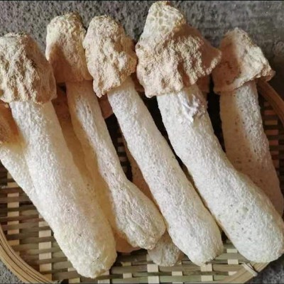 食用菌批发不带裙干货竹荪 不熏硫未开伞竹笙菇蕾500g鲜嫩图4