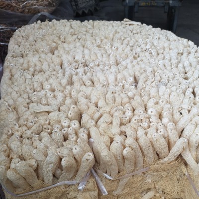 食用菌批发干货带裙竹荪散货性价比款竹笙竹荪500g散装统货等级图3