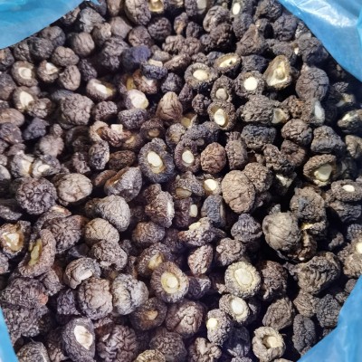 珍珠菇小香菇干货金钱菇 剪脚小干香菇冬菇小花菇特产250g图2