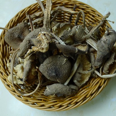 云南干鸡枞 火把鸡枞 菌菇 250克/袋 煲汤菌菇