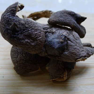 云南干鸡枞 火把鸡枞 菌菇 250克/袋 煲汤菌菇图2