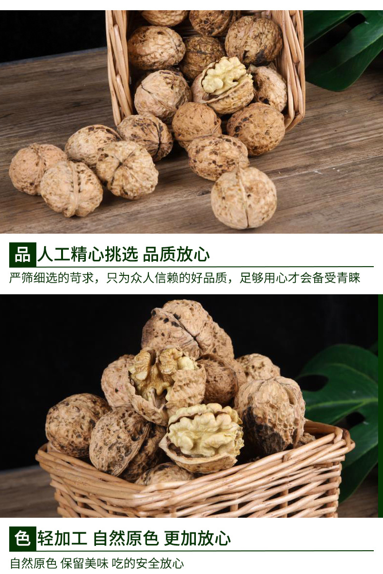 纸皮核桃_04