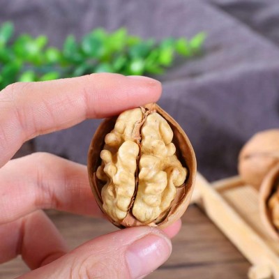厂家发货大量新疆185纸皮核桃批发坚果干果休闲零食手剥皮特产图3