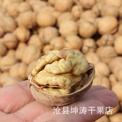厂家发货大量新疆185纸皮核桃批发坚果干果休闲零食手剥皮特产图4
