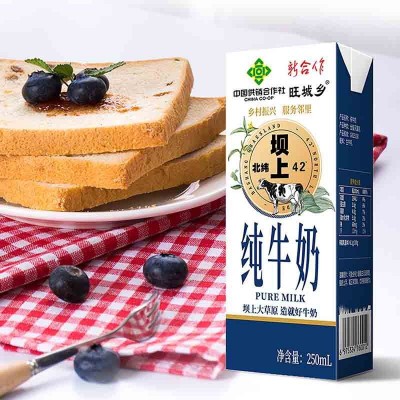 坝上42°纯牛奶250*12盒装/学生成人老人营养早餐奶整箱批发图2