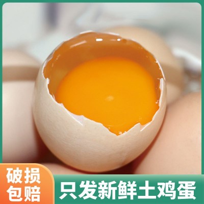 竹林蛋乡下农家散养走地土鸡蛋20枚/900g 顺丰包邮图2