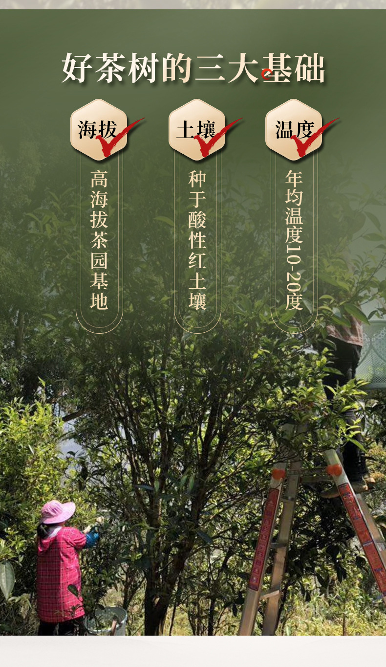 微信图片_20201203141403_02