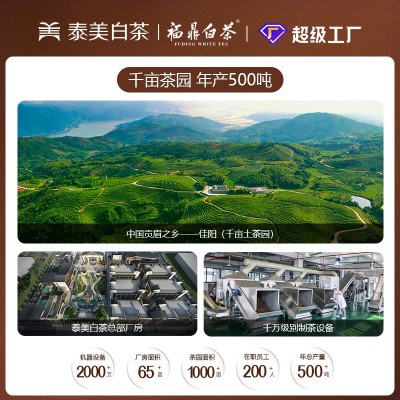 陈皮白茶福鼎老寿眉饼干茶独立小泡小方片2018年茶叶伴手礼 盒200g图3