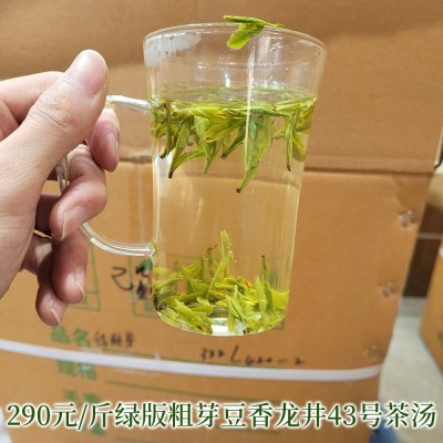 2023新茶绿版壮芽龙井43号浙江越州新昌龙井豆香型高山绿茶叶批发图3