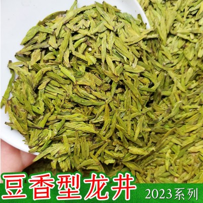 豆香型龙井茶2023新茶上市浓郁耐泡醇厚浙江龙井43号群体种绿茶茶