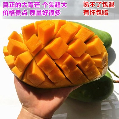 芒果新鲜越南大青芒当季水果青皮芒肉厚核小大芒果现摘水果批发