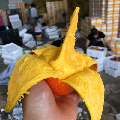 广西贵妃芒新鲜水果芒果当季时令水果红金龙贵妃芒果现摘现发包甜图2
