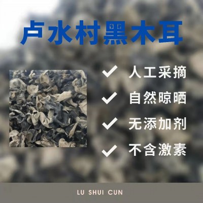 精选木耳批发甘肃农业特产干货干木耳黑木耳包邮500g礼盒装图3