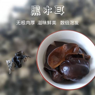 精选木耳批发甘肃农业特产干货干木耳黑木耳包邮500g礼盒装图4
