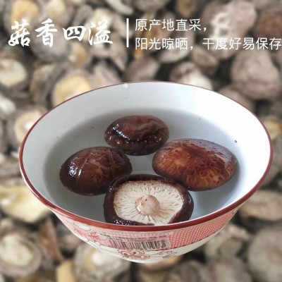 卢水村干香菇精选农家香菇菌菇做菌汤甘肃特产500g*1礼盒装图3