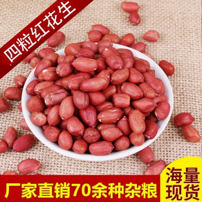 厂家直发东北粮食花生农家自产五谷杂粮批发散装粗粮四粒红花生