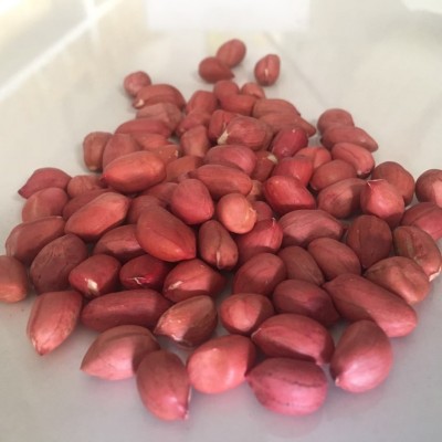 厂家直发优质粮食花生农家自产五谷杂粮批发散装粗粮白沙花生米