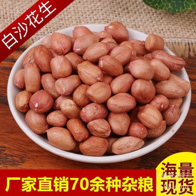 厂家直发优质粮食花生农家自产五谷杂粮批发散装粗粮白沙花生米图2