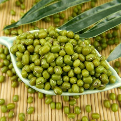 【定制】泥河湾有机绿豆 450g新鲜农家绿豆粥绿豆汤包装杂粮新豆图2