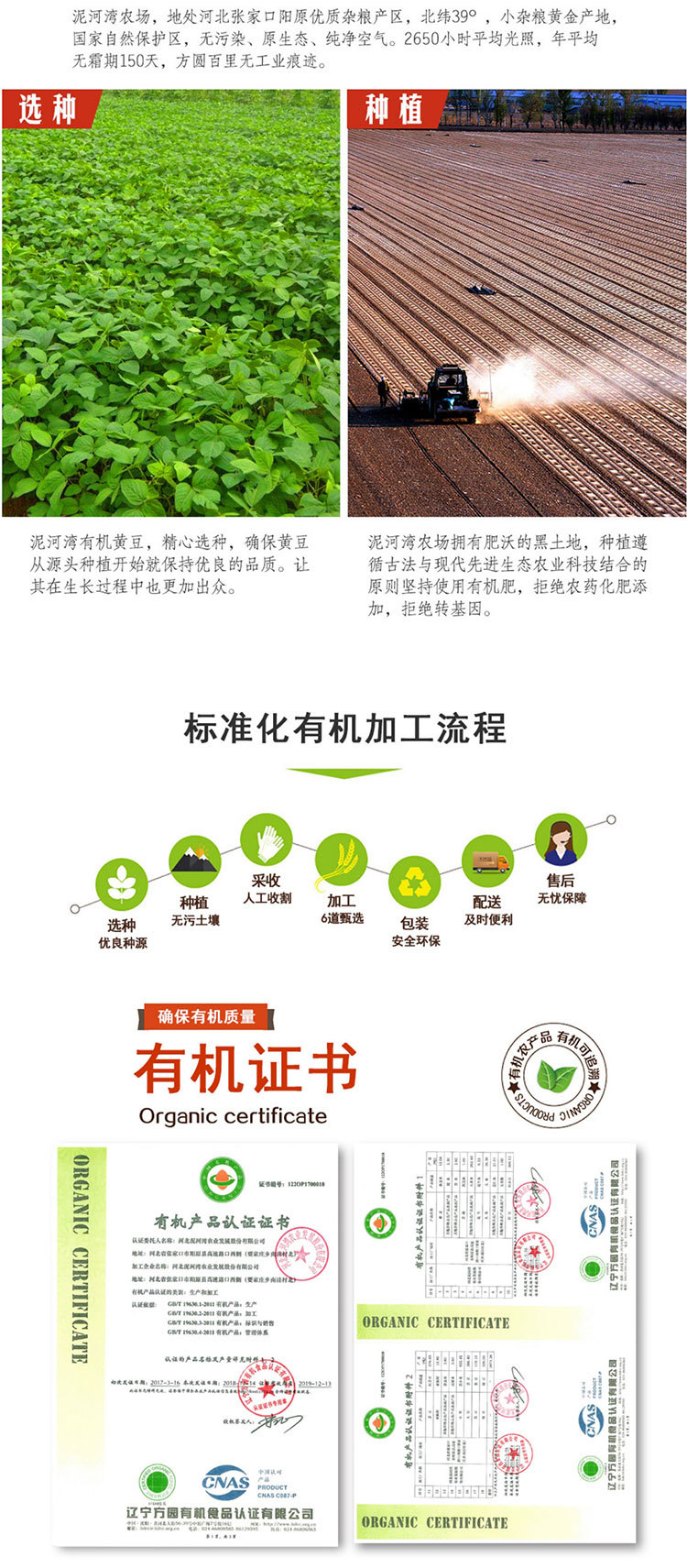 黄豆_02