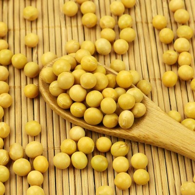 有机黄豆450g黄豆打豆浆生豆芽专用东北大豆农家新黄豆五谷杂粮图3