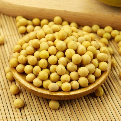 有机黄豆450g黄豆打豆浆生豆芽专用东北大豆农家新黄豆五谷杂粮图2