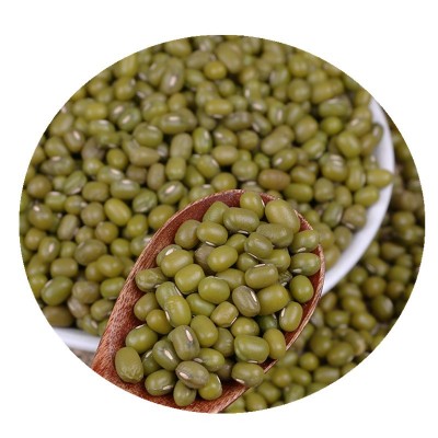 厂家直发东北粮食绿豆农家自产五谷杂粮批发散装粗粮明绿豆图5