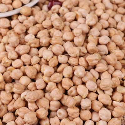 厂家直发优质粮食天麻子农家自产五谷杂粮批发散装粗粮鹰嘴豆图4