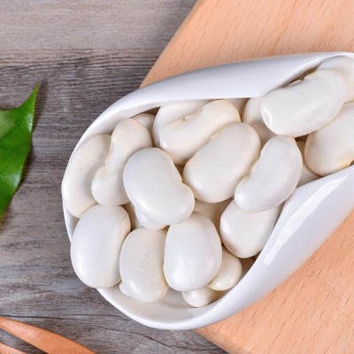 云南大白芸豆 高原白腰豆 菜豆 大扁豆雪豆 今年新豆批发图2