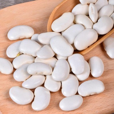 云南大白芸豆 高原白腰豆 菜豆 大扁豆雪豆 今年新豆批发图4