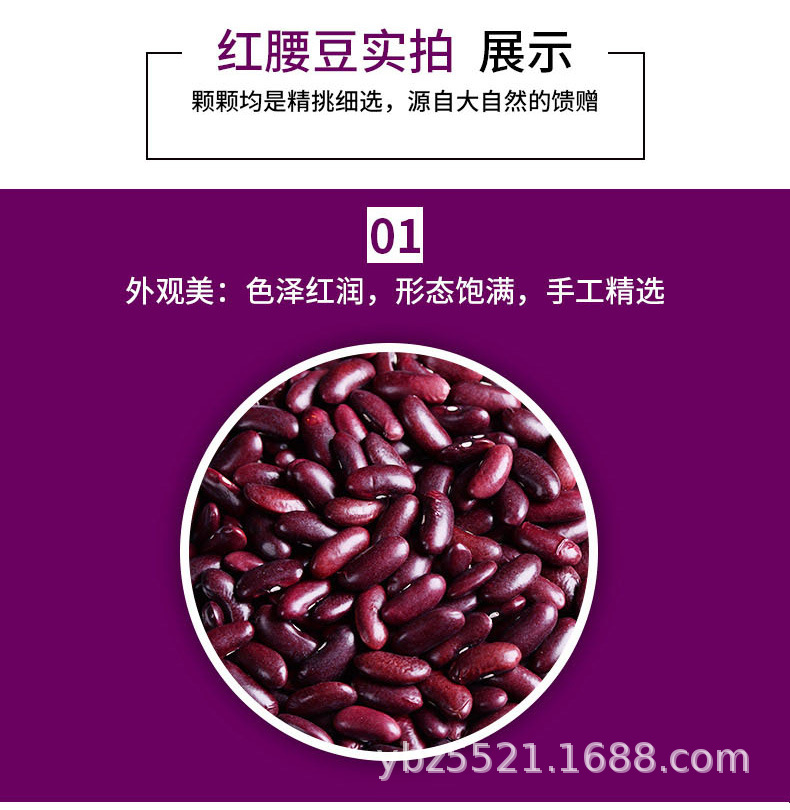 红腰豆_03.jpg