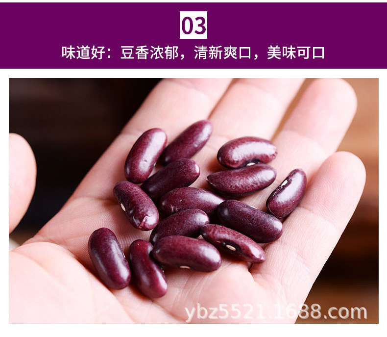 红腰豆_05.jpg