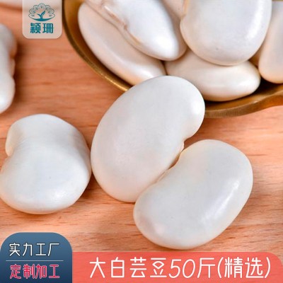 云南大白芸豆50斤 高原白腰豆菜豆大扁豆雪豆 今年新豆 批发供货图5