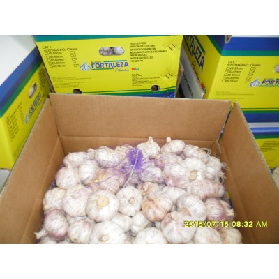 出口非洲各个规格保鲜普白蒜EXPORT TO AFRICA WHITE GARLIC图5