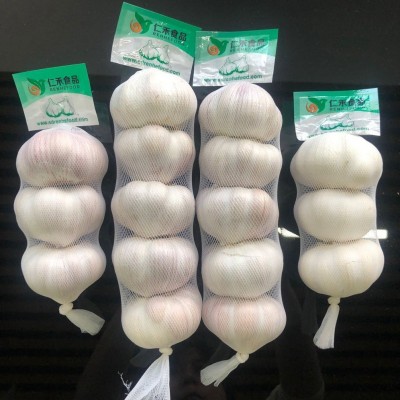 2021年鲜蒜5.5-6.0cm RED GARLIC EXPORTING GRADE A图2