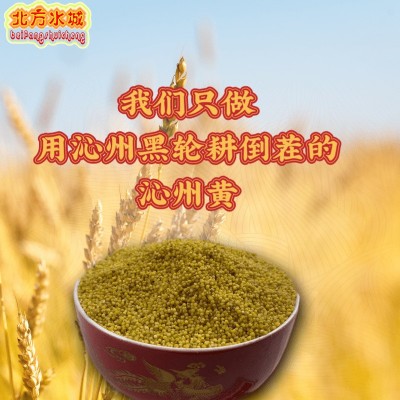 【北方水城】1500g沁州黄小米厂家批发黄小米孕妇儿童一件代发图4