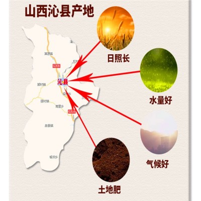 山西沁州黄原产地厂家直供小米2500克袋装（可订做）图3