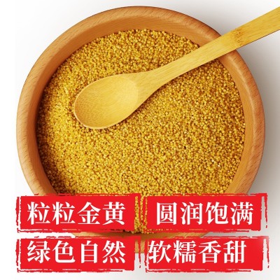 陕北米脂油小米500g自立袋装五谷杂粮油小米早餐米粥米油醇厚图2