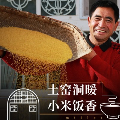 陕北米脂油小米500g自立袋装五谷杂粮油小米早餐米粥米油醇厚图3