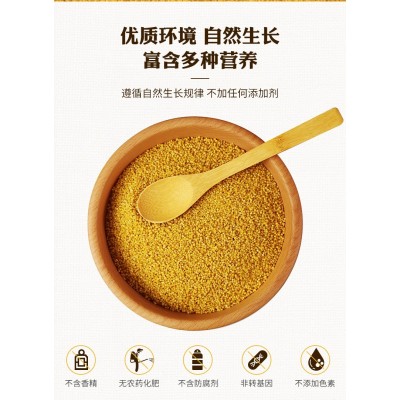 陕北小米米脂小米25kg编织袋装陕北黄小米散装批发食堂供应