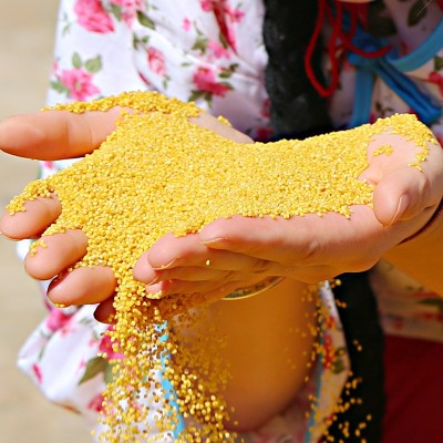 陕北小米米脂小米25kg编织袋装陕北黄小米散装批发食堂供应图4