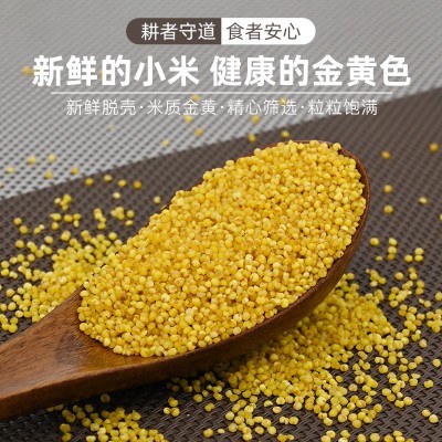 陕北小米米脂小米25kg编织袋装陕北黄小米散装批发食堂供应图3
