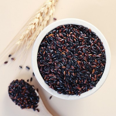 血糯米新米黑糯米农家自产紫米粥粗粮奶茶店杂粮黑米500g