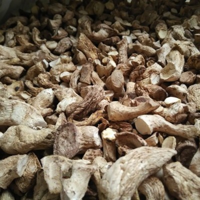 田源【古田产地】古田香菇脚 加工及炖汤原料有单双剪图3