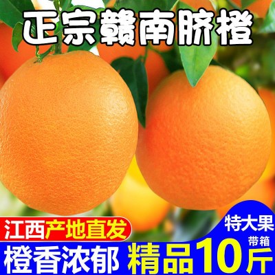 江西省赣州市寻乌县赣南脐橙新鲜采摘现採现发应季水果橙子皮薄多图4