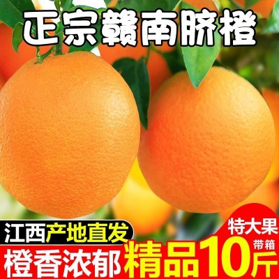 江西省赣州市寻乌县赣南脐橙新鲜采摘现採现发应季水果橙子皮薄多图2