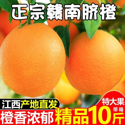 江西省赣州市寻乌县赣南脐橙新鲜采摘现採现发应季水果橙子皮薄多图3