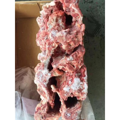 澳洲2309大羊脊骨 O164 带排 肉多 羊蝎子店可用大量批发一手货源图4
