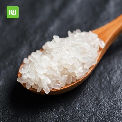 东北生态香米500g1斤2斤5斤大米稻花新米五常大米厂家批发代发图5